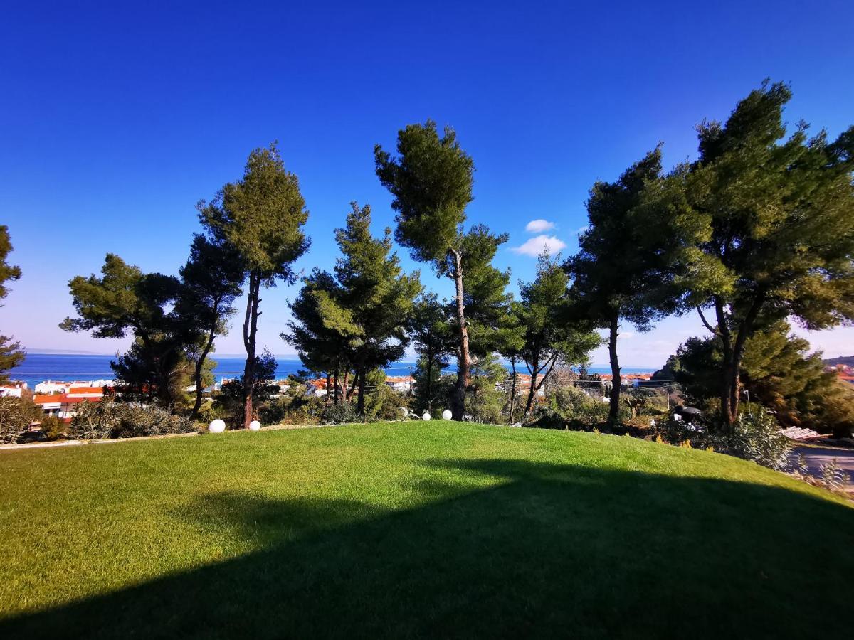 Pine Resort Πολύχρονο Εξωτερικό φωτογραφία