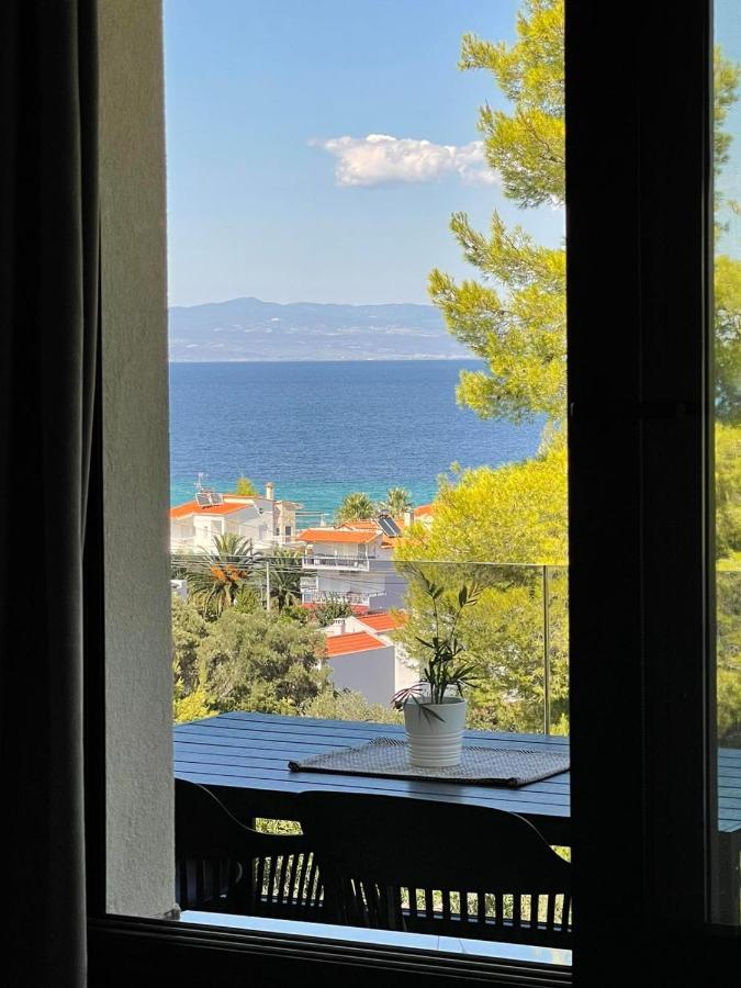 Pine Resort Πολύχρονο Εξωτερικό φωτογραφία