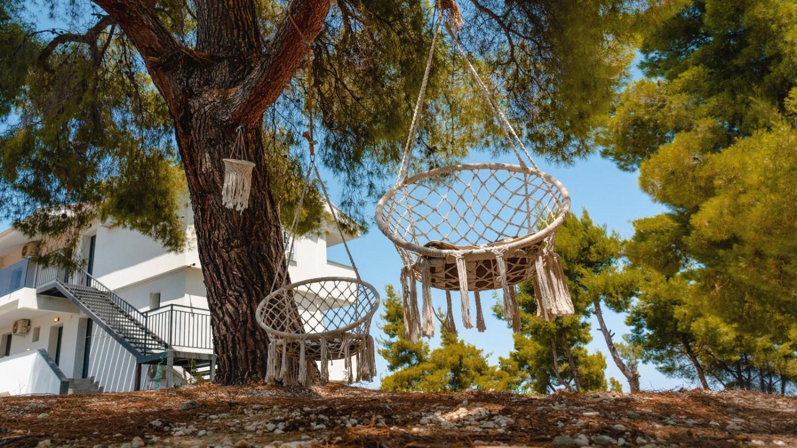 Pine Resort Πολύχρονο Εξωτερικό φωτογραφία