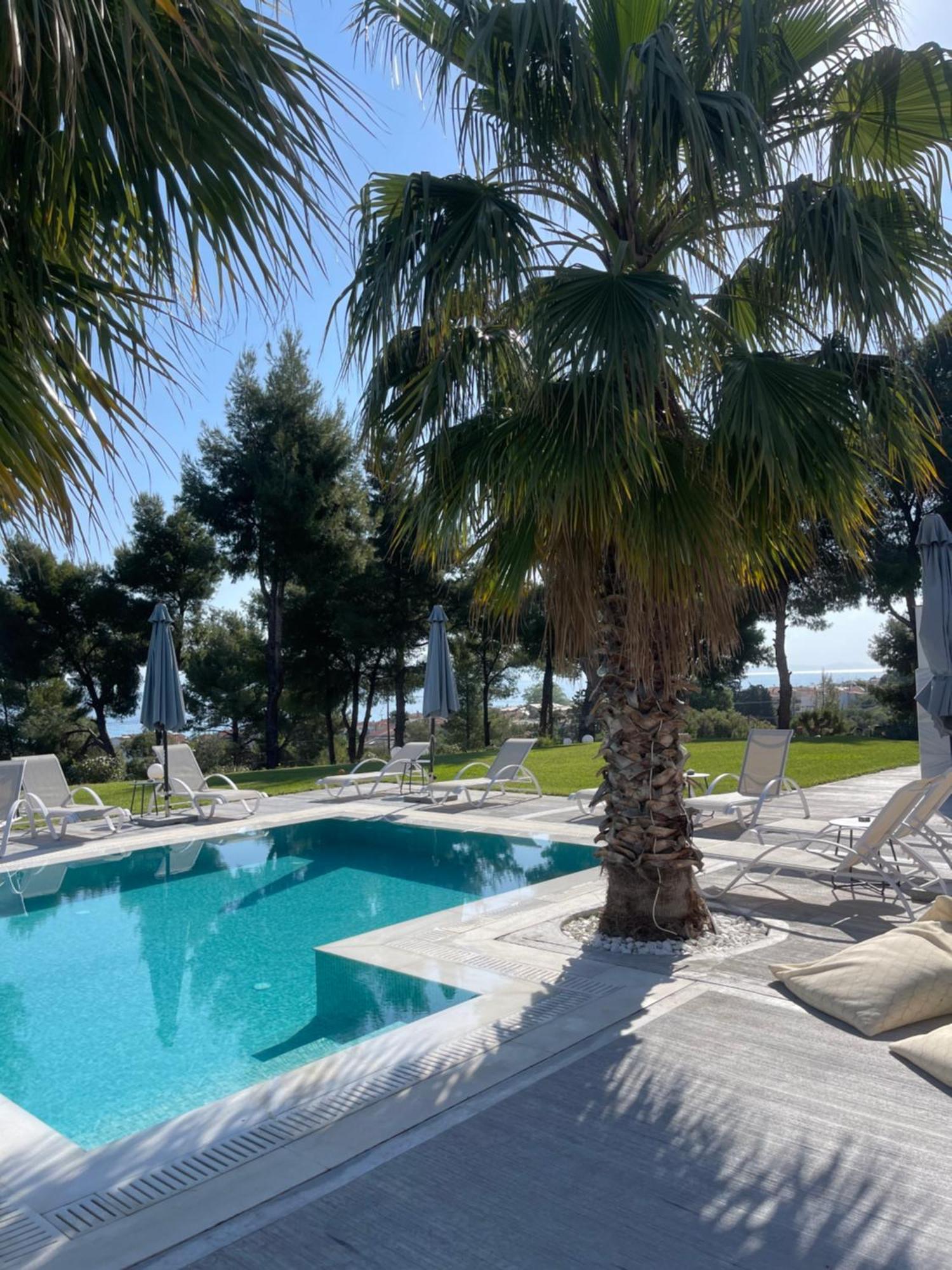 Pine Resort Πολύχρονο Εξωτερικό φωτογραφία